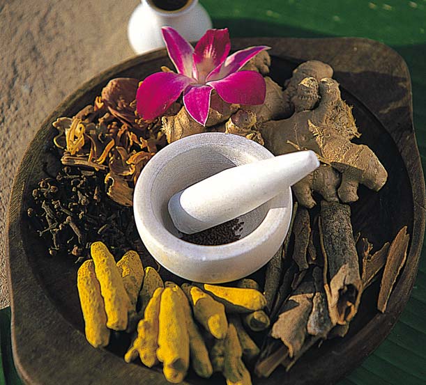 Wellness & Yoga Tour